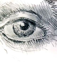 Auge zeichnen lernen - Werk: Sebastian Gothe