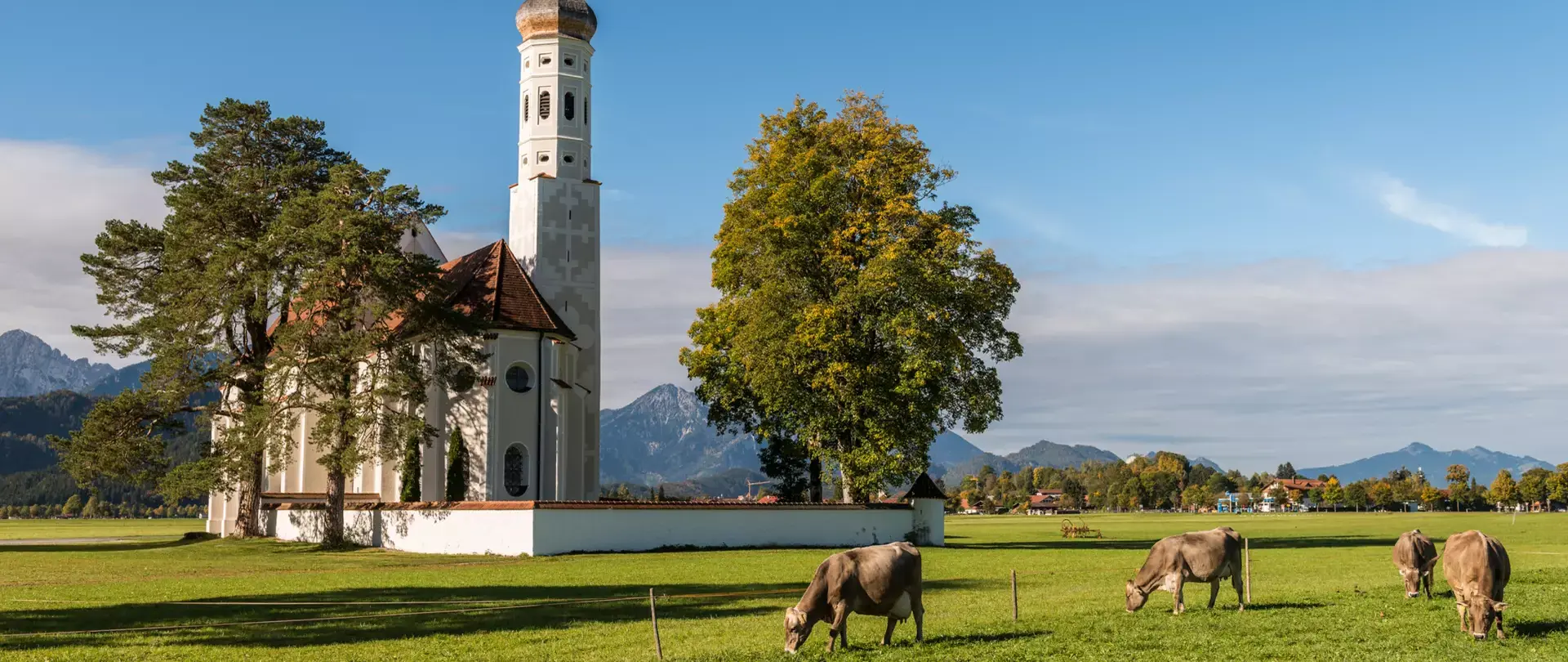 Kirche mit weißem Turm umgeben von Bäumen und grasbewachsenem Feld mit grasenden Kühen vor Bergkulisse im Allgäu