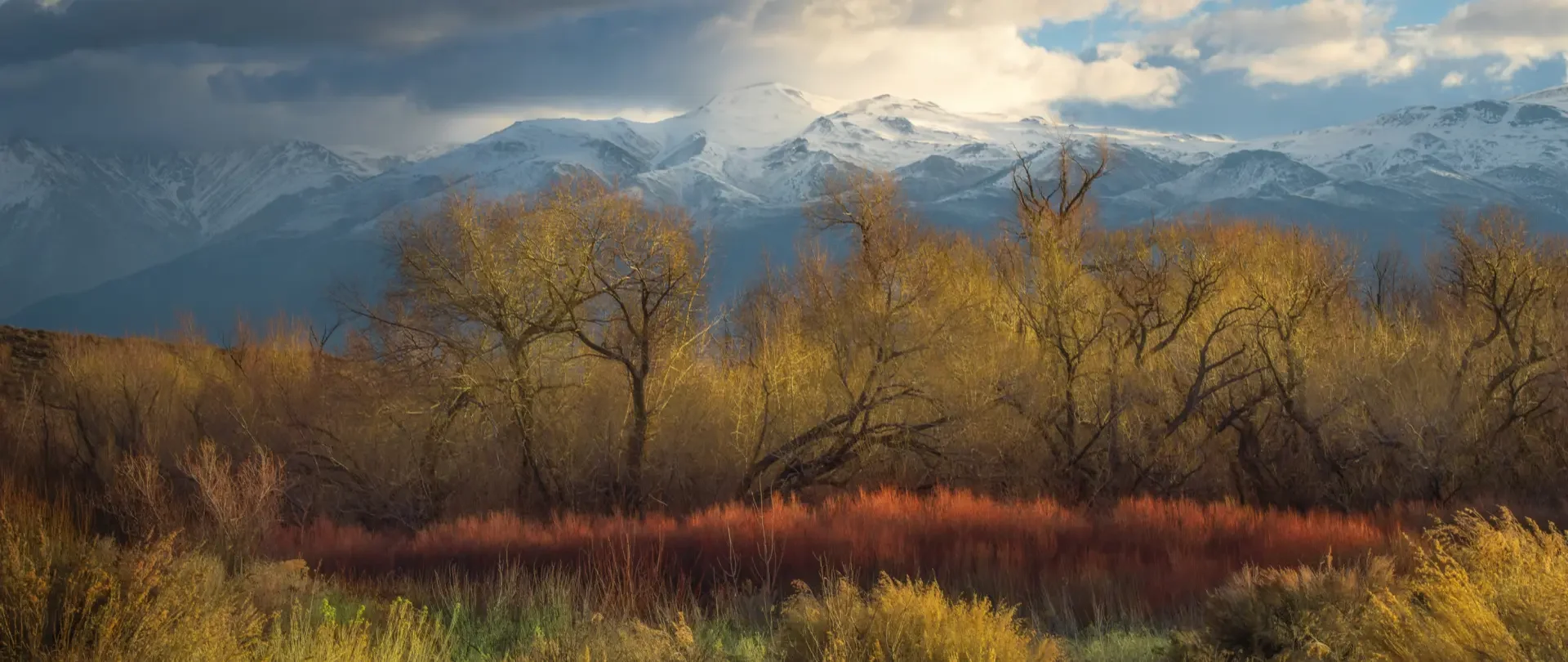 Herbstliche Baumlandschaft mit dramatischem Licht und schneebedeckten Bergen im Hintergrund, komponiert von Markus Albert im Stil romantischer Landschaftsmalerei