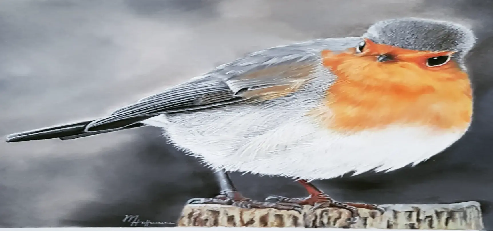Rotkehlchen mit lebensechten Augen und detailliertem Gefieder auf einem Ast, Pastellzeichnung von Monika Hoffmann, die das Wesen des Vogels einfängt