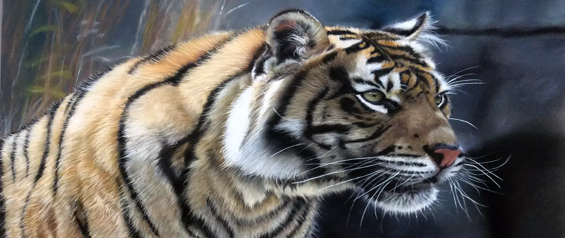 Realistische Pastellzeichnung eines Tigers mit intensiven Augen –  von artistravel Dozentin Angela-Carmen Griehl-Groß