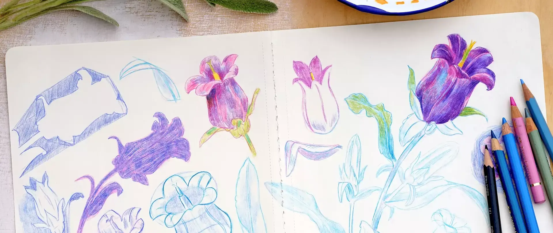 Skizzenbuch mit bunten Buntstiftzeichnungen von verschiedenen Blüten und Blättern, daneben liegen Buntstifte. Skizzieren, Zeichnen, erstellt von artistravel Dozentin Elke Hanisch