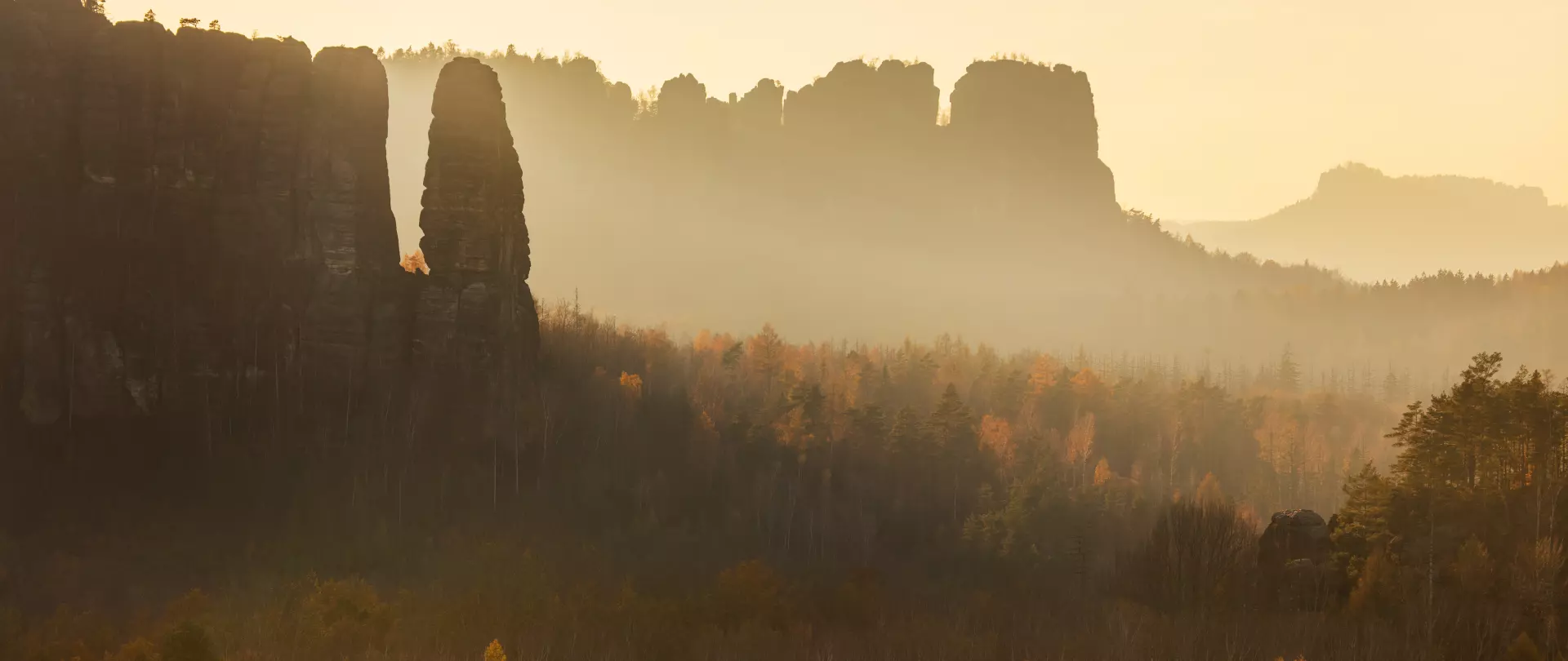 Sächsische Schweiz im Winter mit bizarren Felstürmen und mystischen Wäldern in sanftem Licht und Nebel