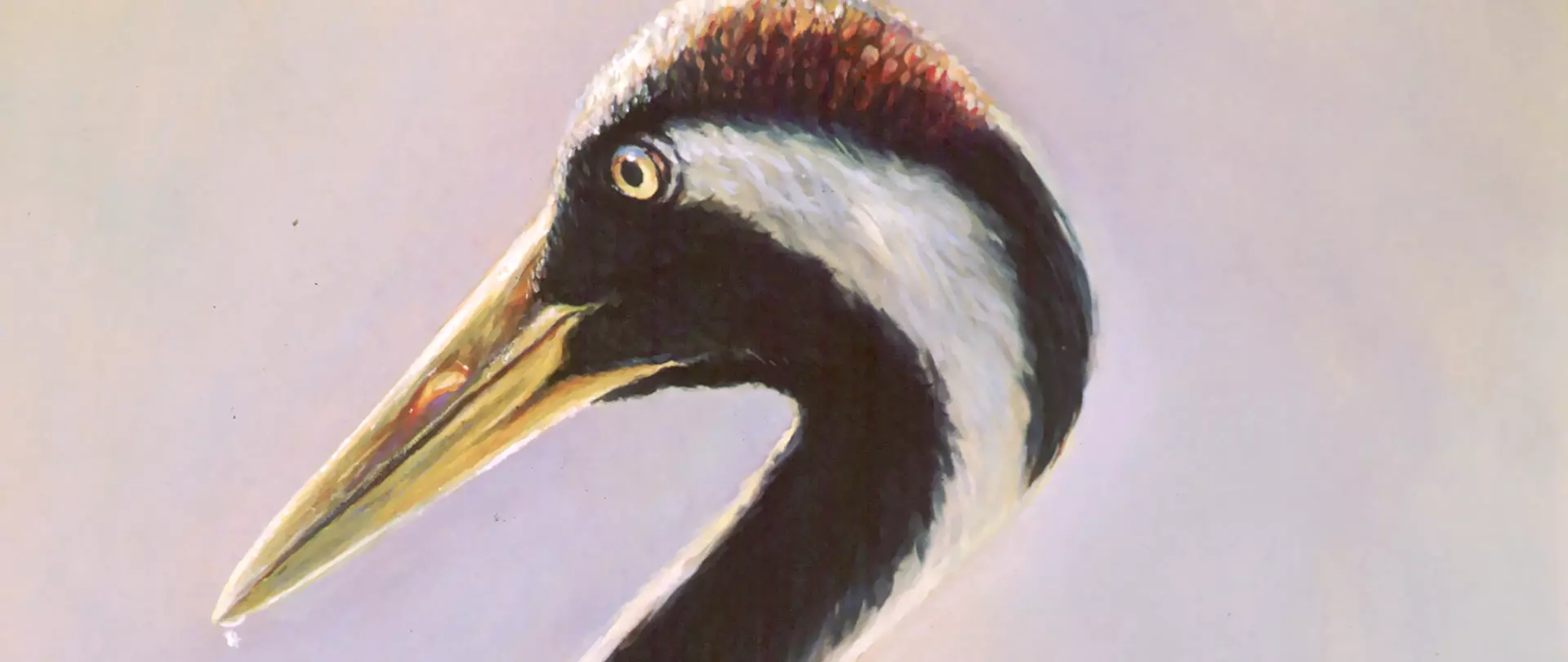 Gemälde eines Kranich-Kopfes, gemalt von Claus Rabba in Acryl