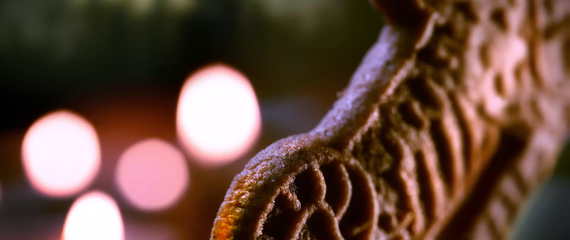 Nahaufnahme eines kunstvoll verzierten Lebkuchens vor unscharfen Lichtern für kreative Food-Fotografie zu Festen