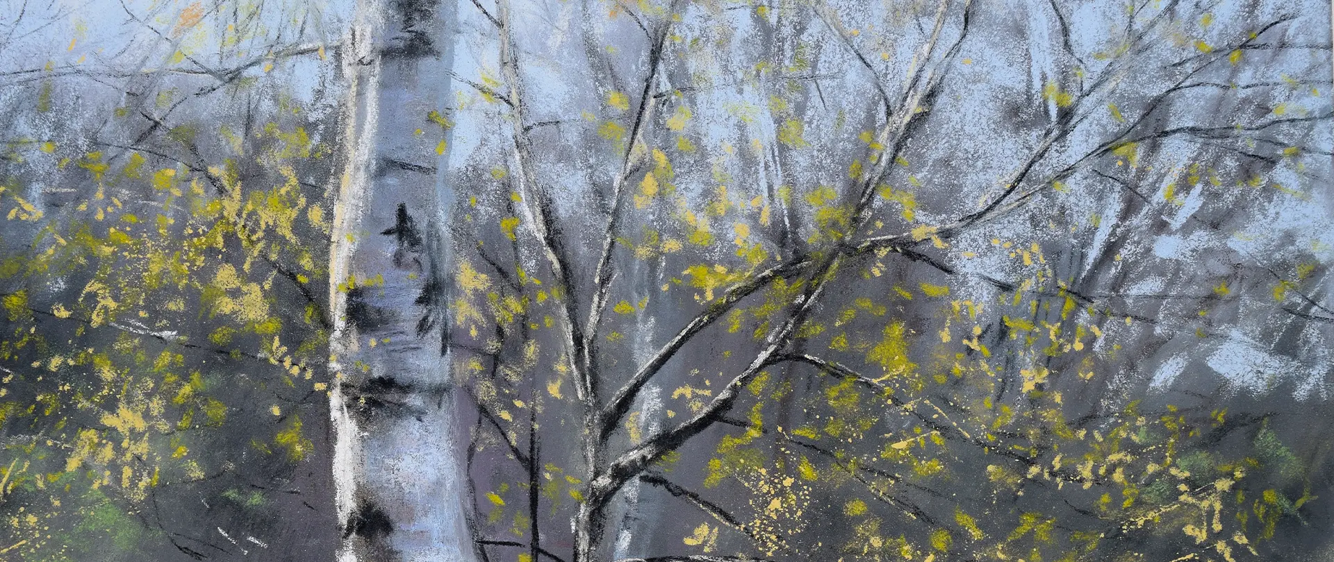 Birkenstamm und Astwerk mit gelben Herbstblättern in Pastellfarben auf nebligem Hintergrund