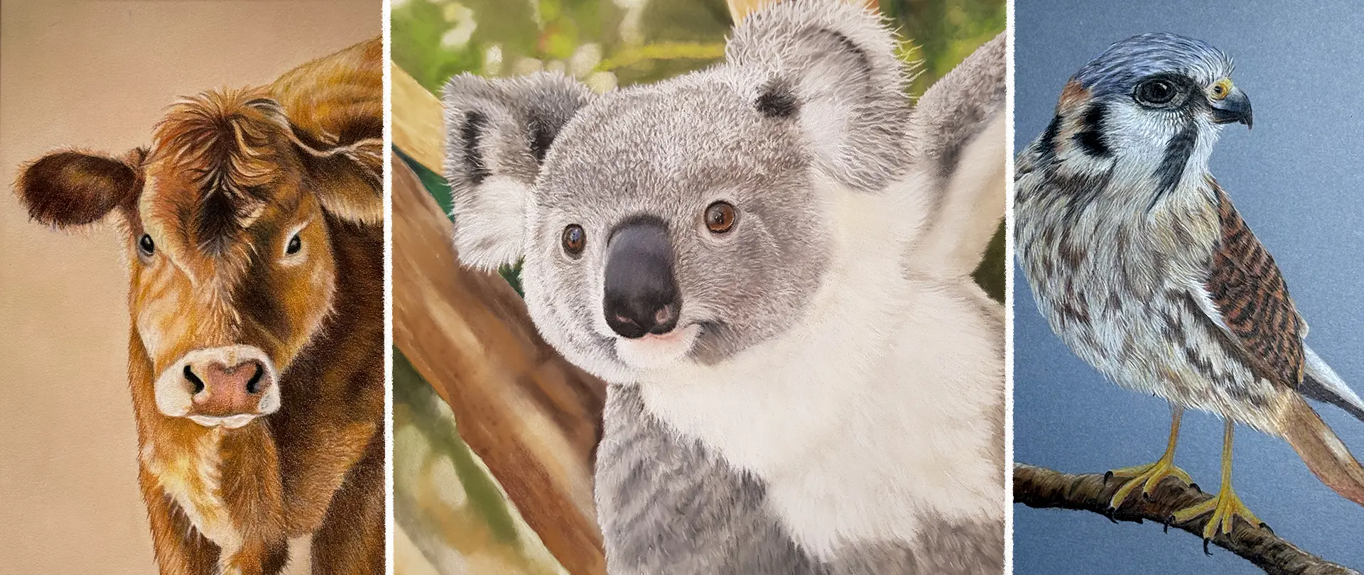 Naturrealistische Tierporträts mit Pastellstiften von Kuh, Koala und Falke, detaillierte Fell- und Federstruktur in sanften Farben