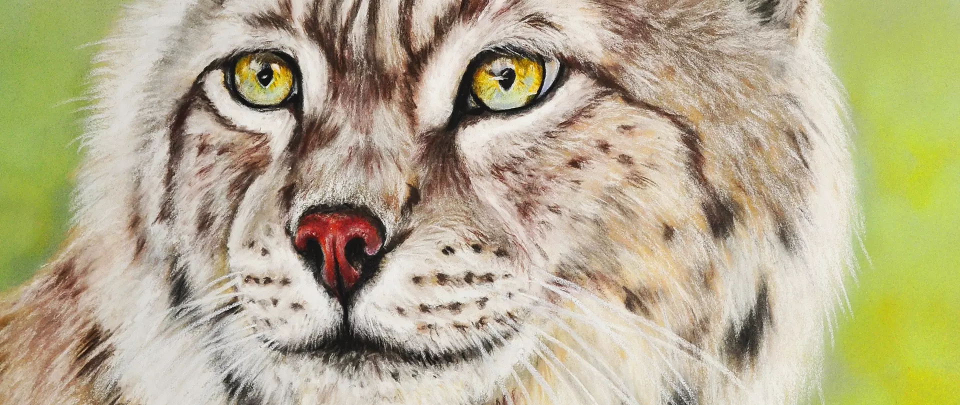 Nahaufnahme eines Luchsgesichts mit gelben Augen und roter Nase, realistisch in Pastellfarben gemalt vor grünem Hintergrund