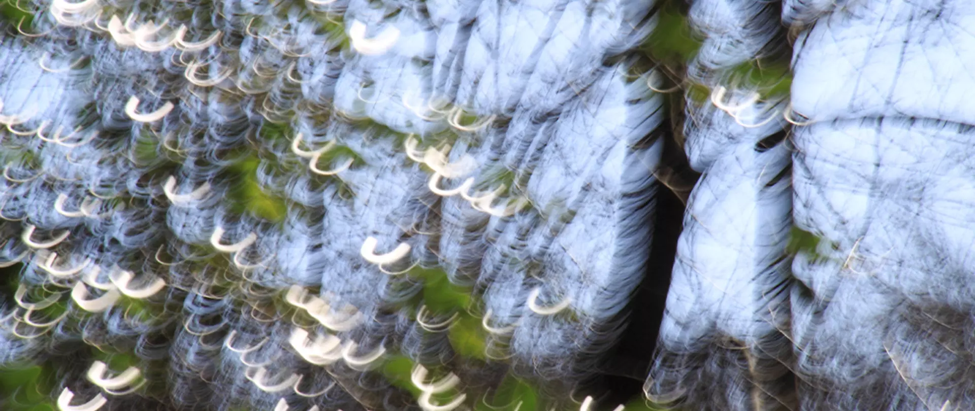 Experimentelles Foto aus dem Wald mit sich wiederholenden Muster von Ästen, Blättern, und Lichtreflektionen.