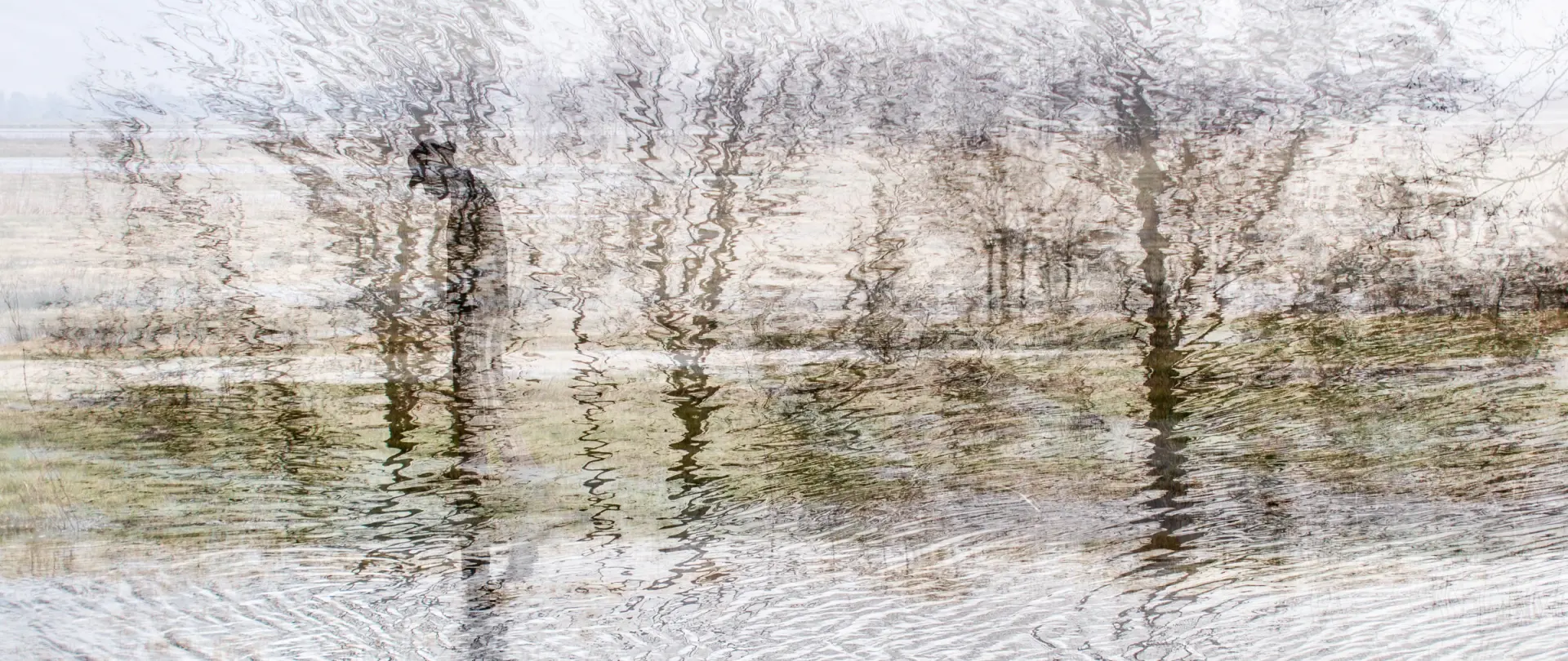 Abstrakte Fotografie mit verschwommenen Baum- und Wasserreflexionen, die expressive Bildsprache und Moorlandschaft künstlerisch verbindet