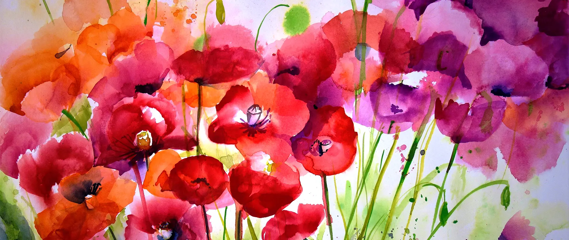 Bunte Aquarell-Mohnblumen in Rot-, Orange- und Violetttönen auf grünem Stiel vor hellem Hintergrund, inspiriert von einer sommerlichen Blumenwiese