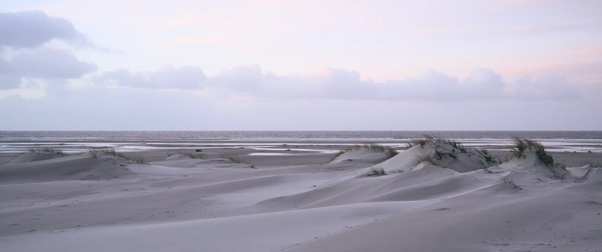 Weite winterliche Dünenlandschaft bei ruhigem Meer und bedecktem Himmel auf der nordfriesischen Insel Amrum