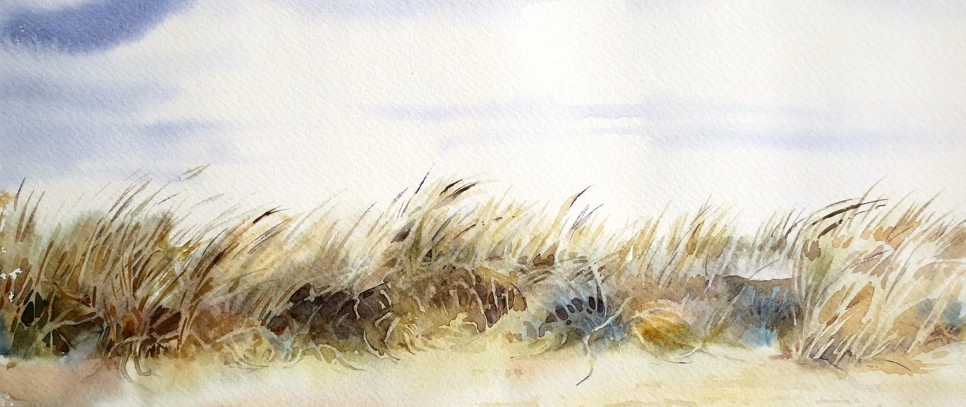 Sanfte Aquarell-Landschaft mit Gräsern und weichem Himmel, die Techniken wie Farbgestaltung, Lichtwirkung und Komposition illustriert