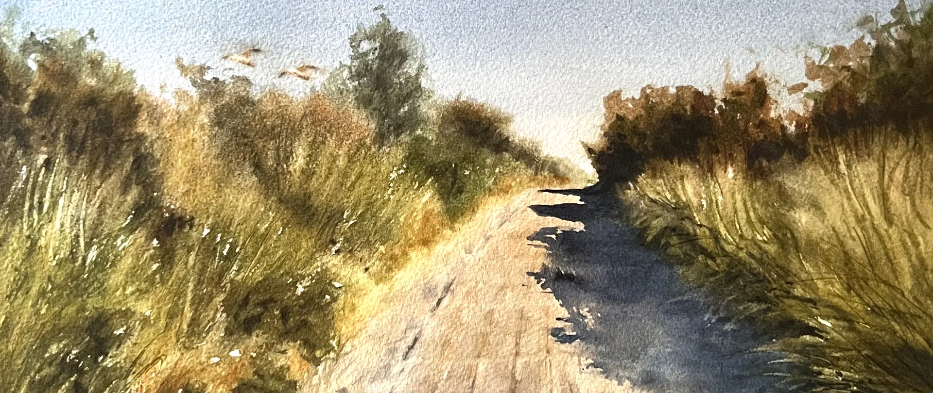 Weg durch sommerliche Küstenlandschaft mit dichter Vegetation und warmem Licht, dargestellt in atmosphärischem Aquarellstil