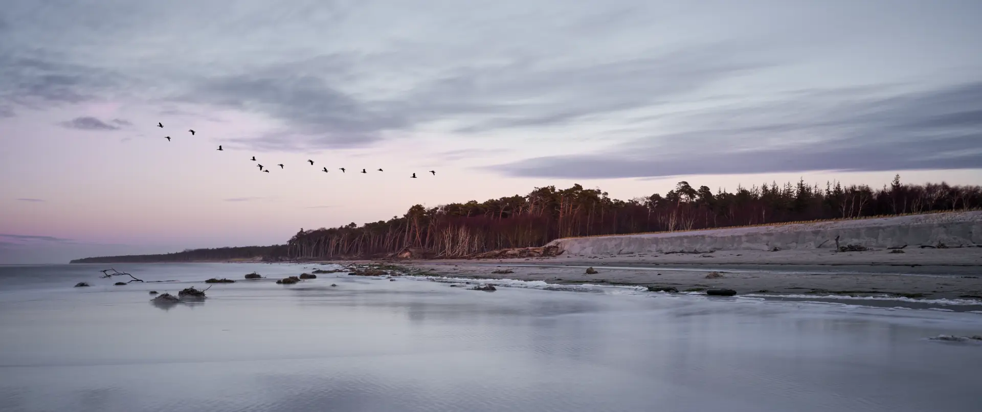 Winterliche Dünenlandschaft am Darß mit Ostsee, Bodden und ziehenden Vögeln unter dramatischem Himmel im sanften Licht der tief stehenden Wintersonne