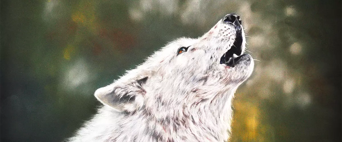 Realistisches Gemälde eines heulenden weißen Wolfs vor unscharfem, natürlichen Hintergrund – Kunstwerk in Pastell von Christina Frenken.