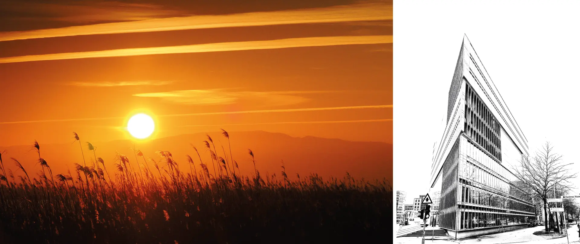 Sonnenuntergang über Gräsern in einer Landschaft neben grafisch anmutendem Schwarzweißfoto eines modernen Architekturgebäudes