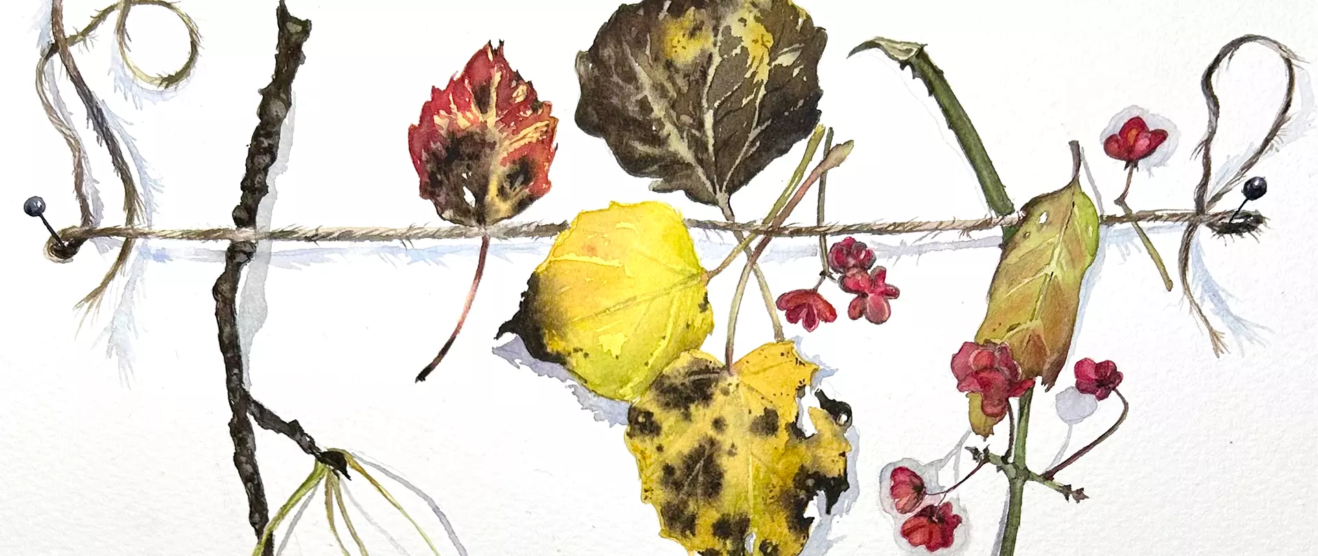 Herbstliche Blätter, Zweige und rote Beeren auf weißem Hintergrund arrangiert in Aquarell gemalt von Svetlana Eremenko Wagner