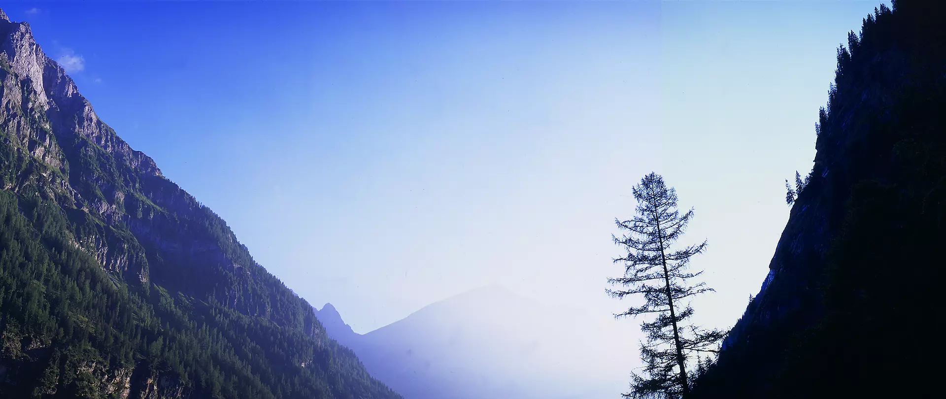 Frühmorgendliches Tal aus tiefer Perspektive nach oben blickend.