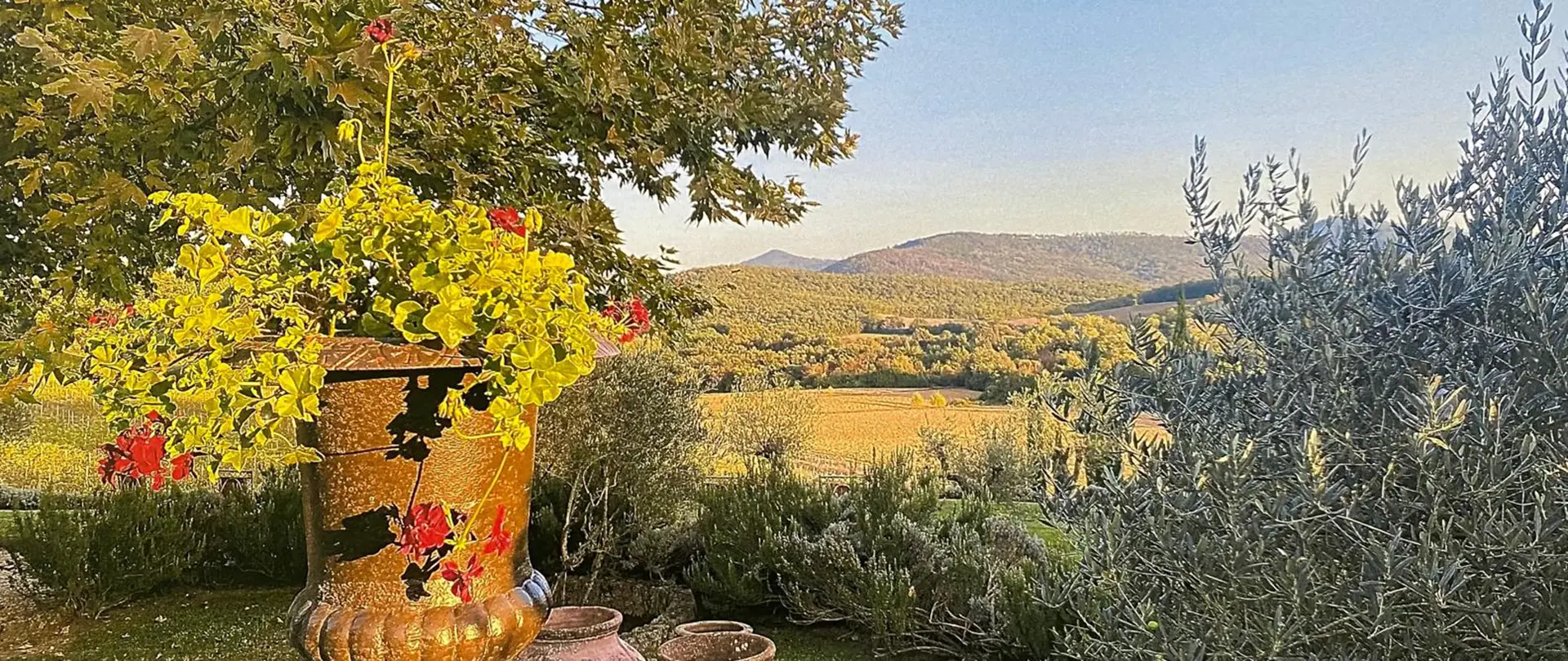 Goldene Vase mit roten Blumen vor herbstlicher Landschaft mit Hügeln, Olivenbaum und klar blauem Himmel, als Motiv für Aquarellkurs zur Perspektive und Ellipsendarstellung