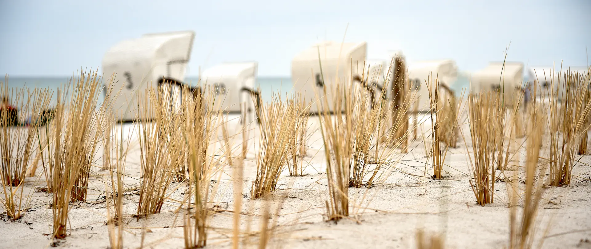 Strand mit Dünenhafer im Vordergrund und weißen Strandkörben vor ruhigem Meer im Hintergrund an einem hellen Tag