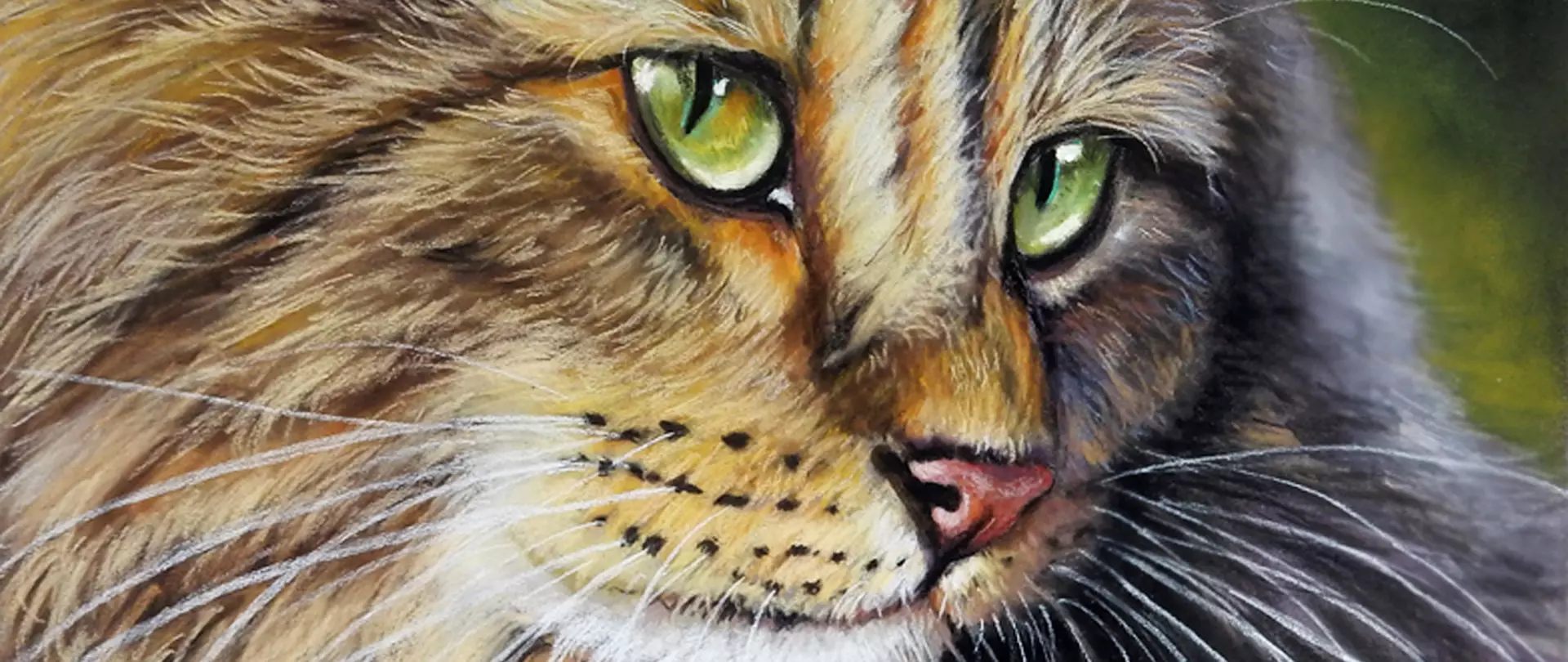 Niedliche Katze mit strahlend hellgrünen Augen in Pastell gemalt von Angela Carmen Griehl-Groß