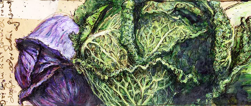 Aquarellzeichnung von grünem Wirsing und lila Kohl als Stillleben mit filigranen Blattstrukturen und lebendiger Farbwirkung