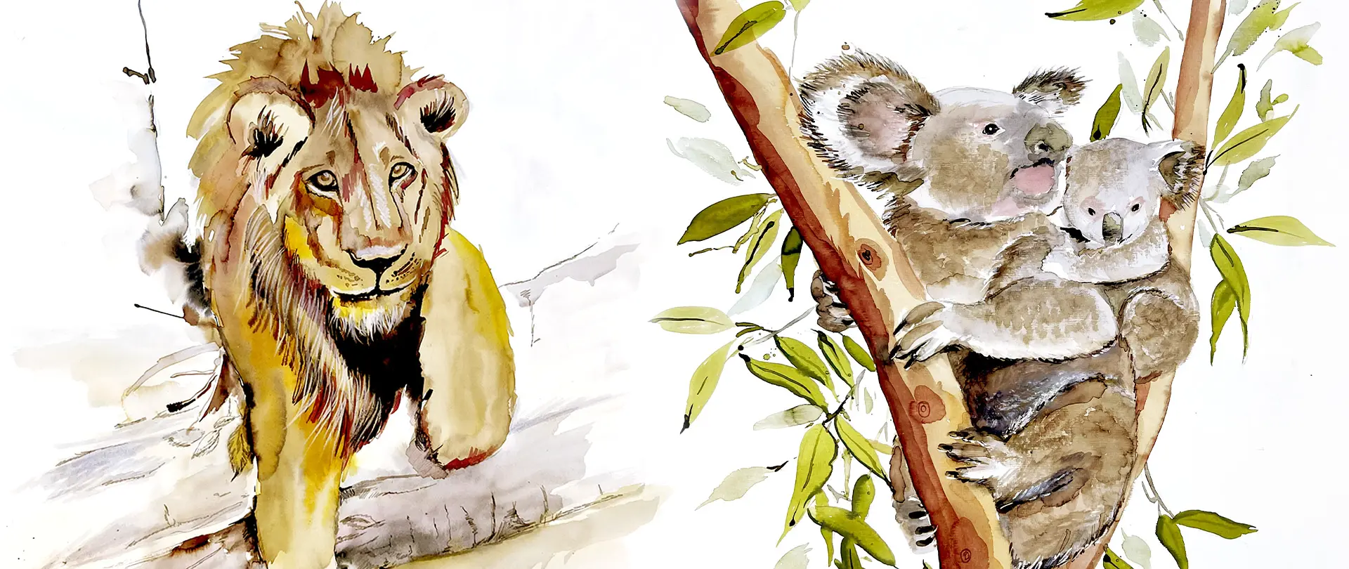 Löwe, der im Wasser steht, und Koala mit Jungtier auf einem Ast, als Aquarell-Tierzeichnungen mit lebendigen Farben