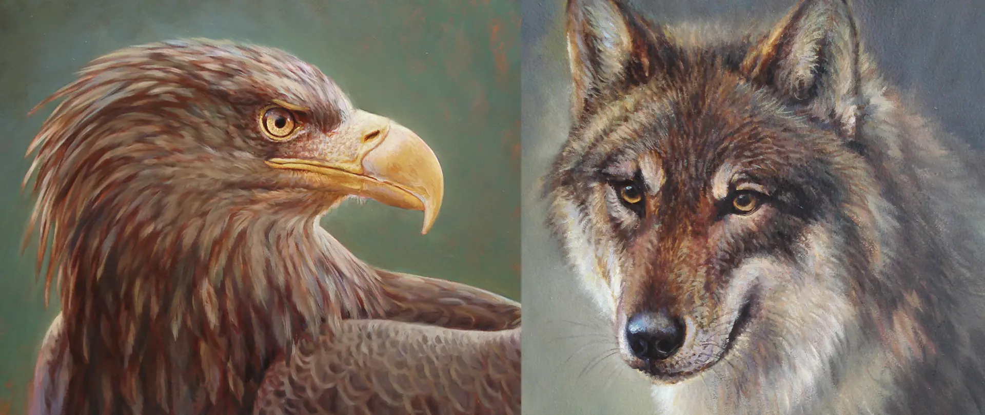 Ausdrucksstarke Tierportraits eines Adlers und eines Wolfes, die detailreich mit Fokus auf Charakter und Schnelligkeit in Stift und Farbe dargestellt sind