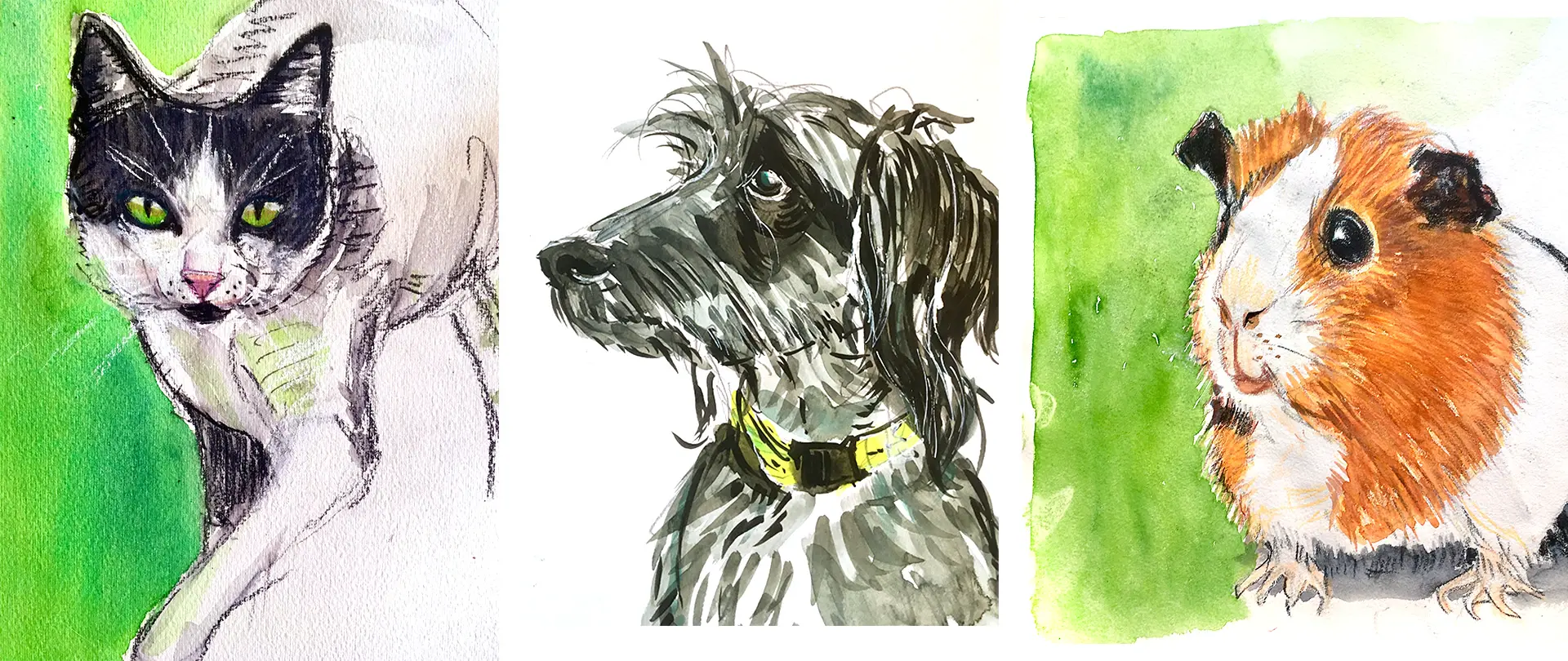 Aquarellzeichnungen einer Katze, eines Hundes und eines Meerschweinchens als Beispiele für tierisches Zeichnen im Einsteigerkurs