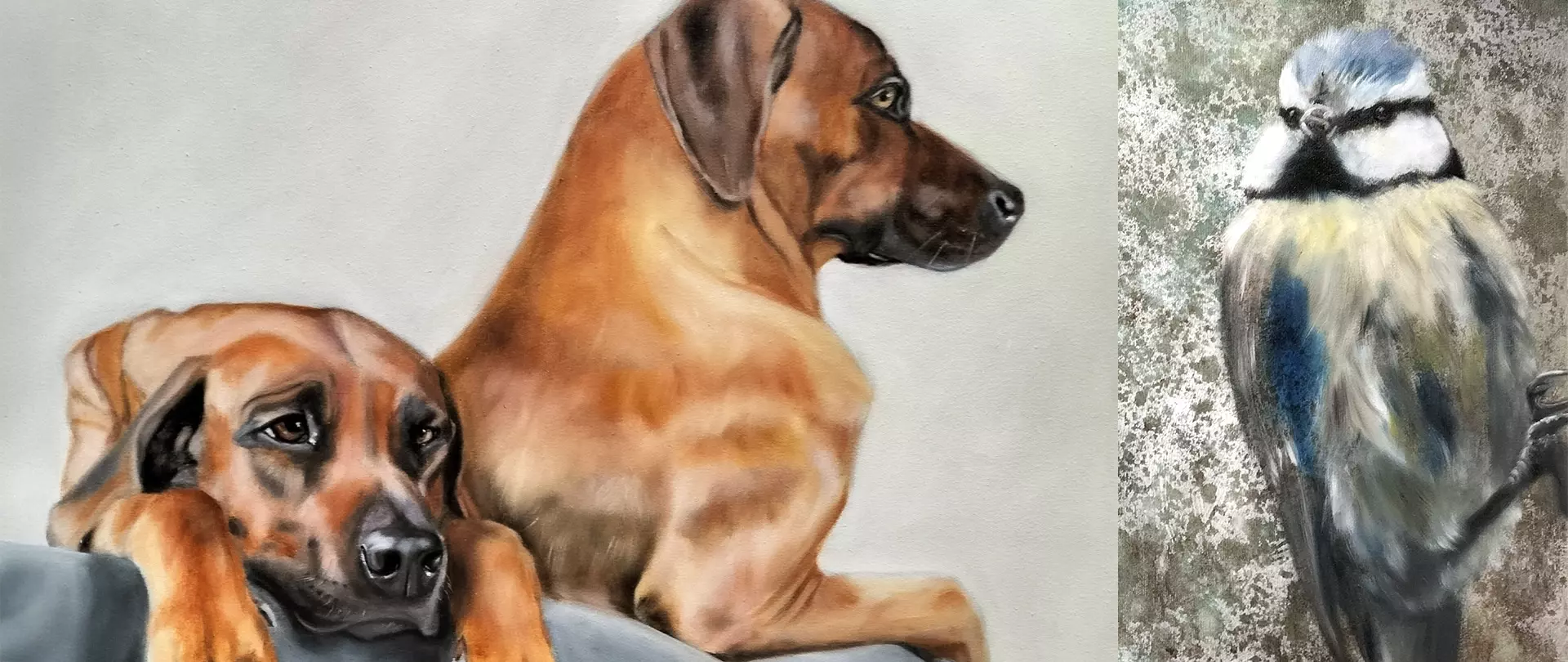 Zwei ausdrucksstarke Hunde und eine detaillierte Blaumeise als emotionale Tierportraits mit besonderem Blick und Haltung