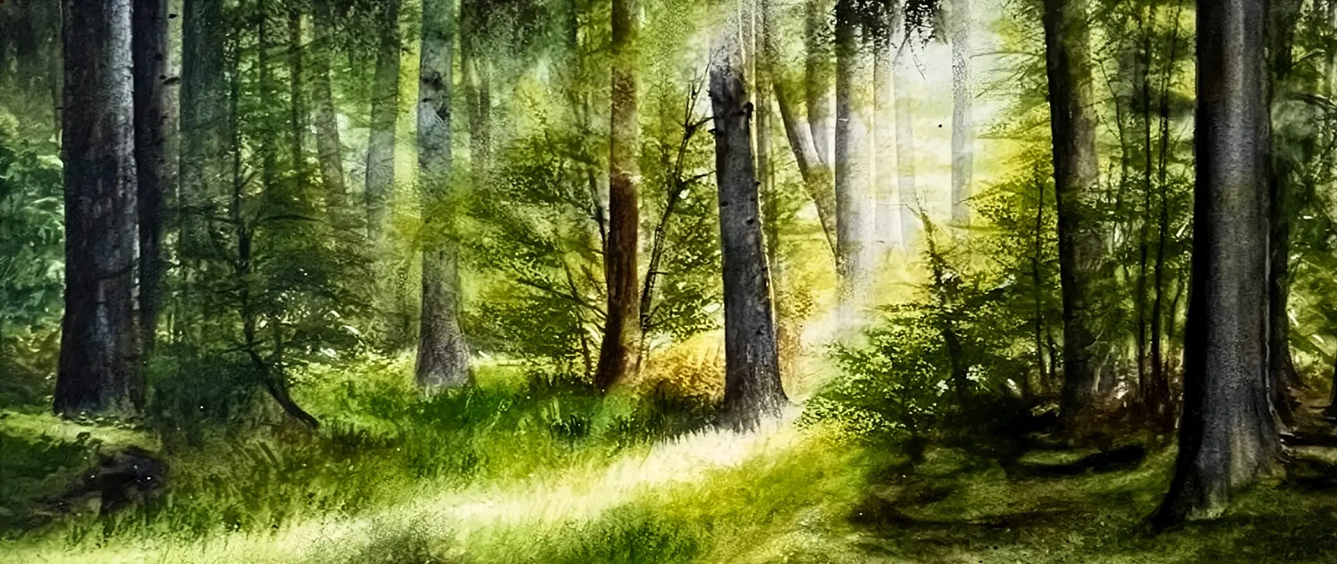 Ausdruckstarke Landschaftsaquarelle - Licht sehen, Atmosphäre malen Waldlandschaft mit Lichtstrahlen, die durch Bäume fallen, vermittelt Atmosphäre, Tiefe und Weite für ausdrucksstarke Aquarellmalerei