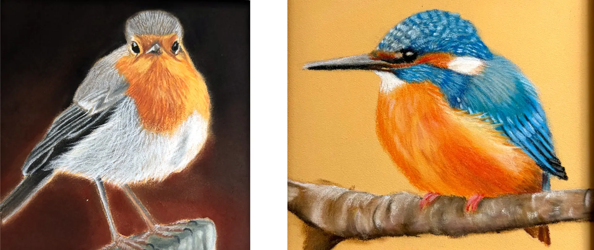 Tierportraits mit Pastellstiften Zwei realistische Tierporträts mit Pastellstiften: ein Rotkehlchen mit feinen Federstrukturen und ein farbenfroher Eisvogel mit weichen Farbübergängen auf Zweigen