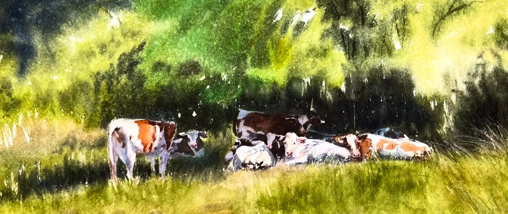 Kühe liegen entspannt auf einer Wiese vor einem sonnendurchfluteten, grünen Wald, gemalt in sanften Aquarellfarben