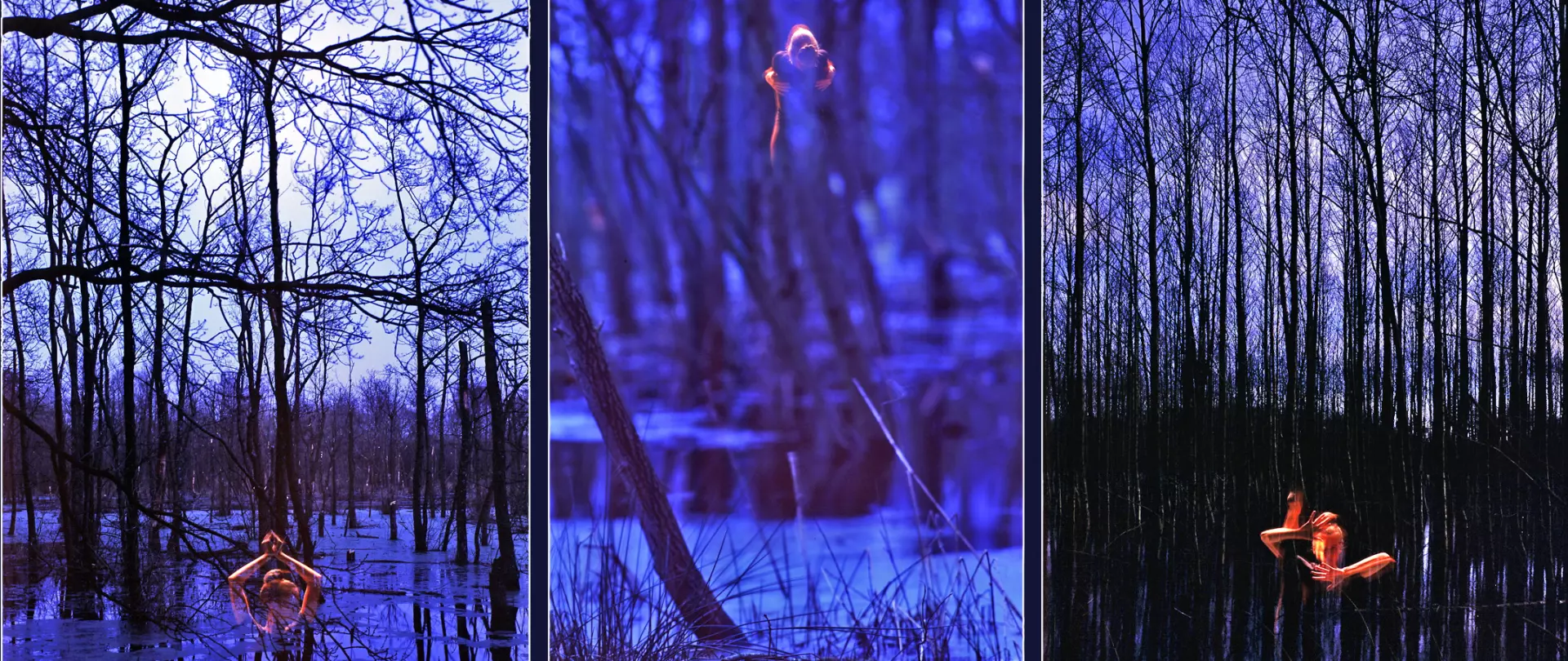 Drei nebeneinander angeordnete Fotos eines Waldes mit kahlen Bäumen und Wasser, in dem eine Person mit orangefarbenem Lichtschein teilweise aus dem Wasser auftaucht.