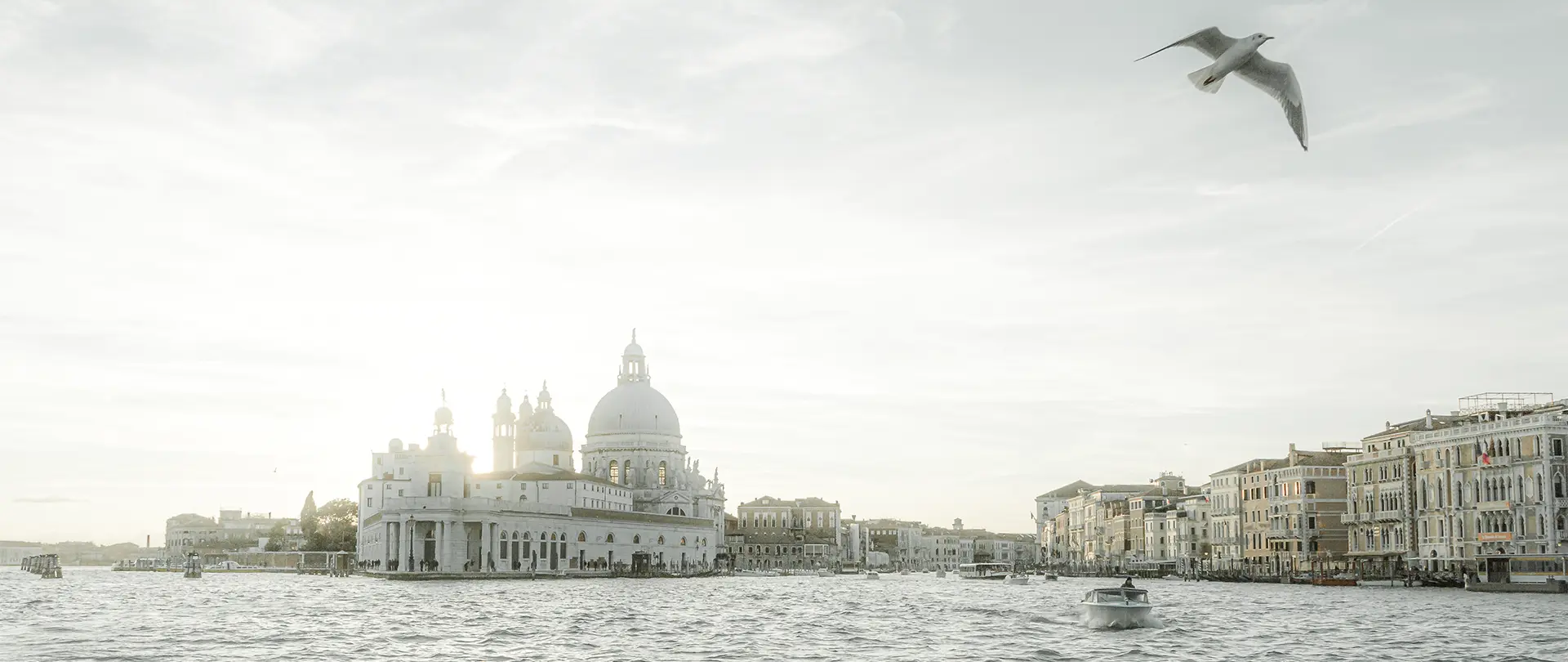 Herbstliche venezianische Kulisse mit ruhiger Lagune, historischen Gebäuden, Domkuppel und einsamer Möwe am hellen Himmel bei sanftem Licht