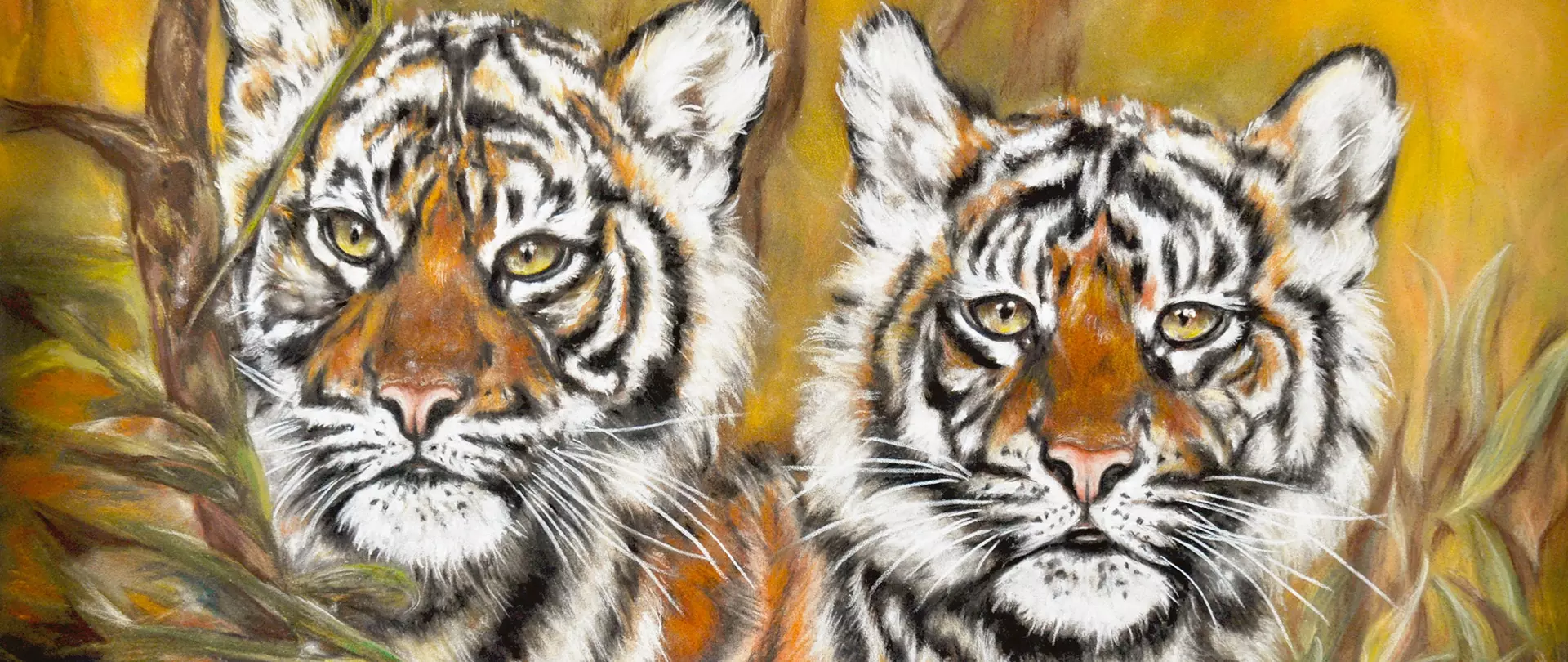 Zwei Tiger, die nebeneinander aus dem Gebüsch schauen sehr detailliert und realistisch von Christina Frenken in Pastell festgehalten.