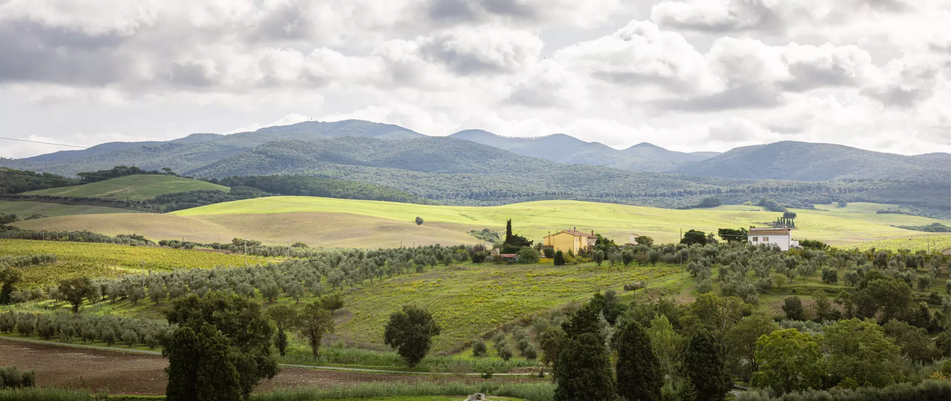 Blick auf die Toskana Landschaft in Italien.