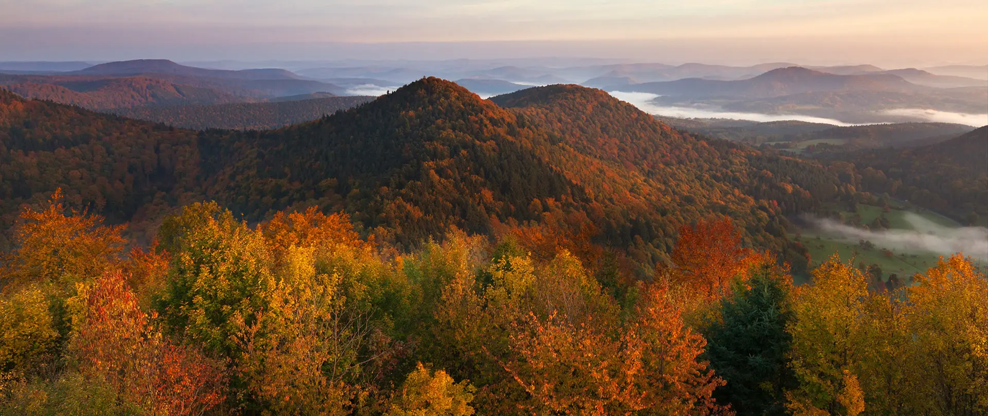 Herbstliche Herbstfarben mit buntem Laub und bewaldeten Buntsandsteinfelsen im Pfälzer Wald, ideal für Landschaftsfotografie und Naturerlebnisse