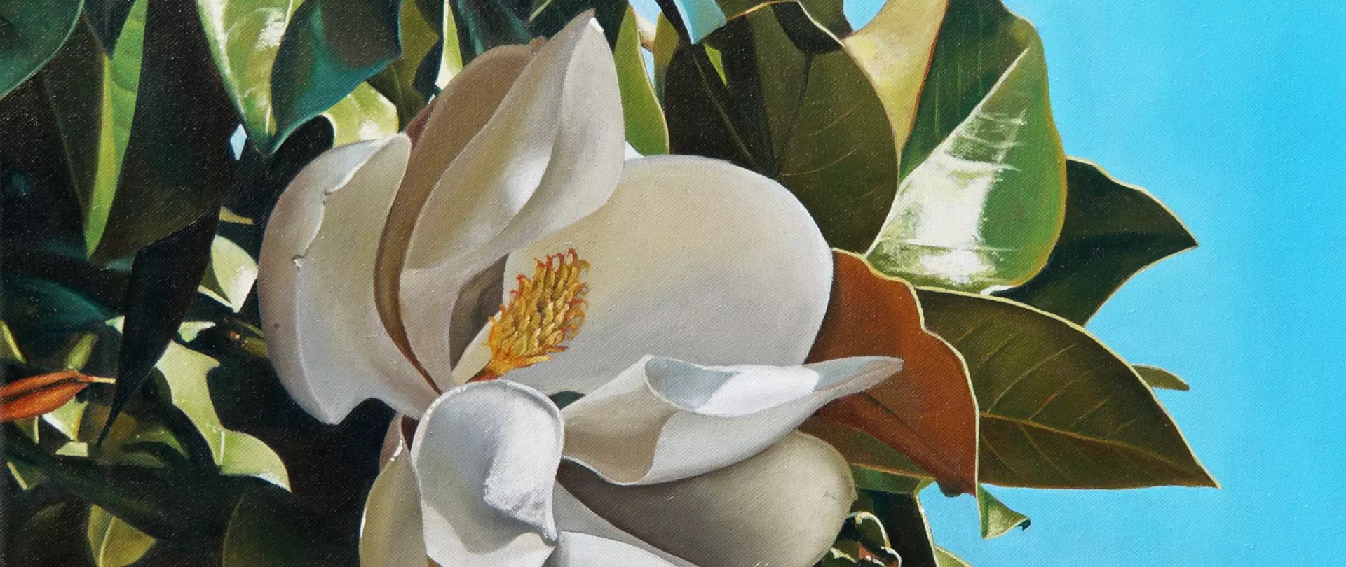 Nahaufnahme einer weißen Magnolienblüte mit grünen Blättern vor blauem Himmel, Ölmalerei erstellt voon artistravel Dozentin Susanne Strefel