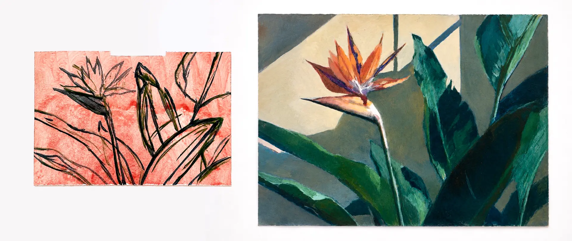 Unbenanntes Projekt Zwei Darstellungen einer Paradiesvogelblume, eine als Skizze in Schwarz auf rotem Hintergrund, die andere als farbiges Gemälde mit Licht und Schatten