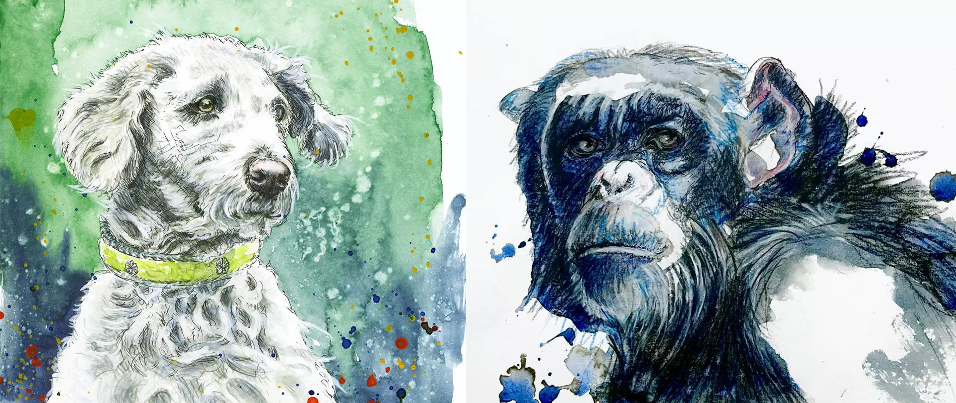 Aquarellporträts eines weißen Hundes mit gelbem Halsband und eines nachdenklichen Schimpansen vor farbigem Hintergrund