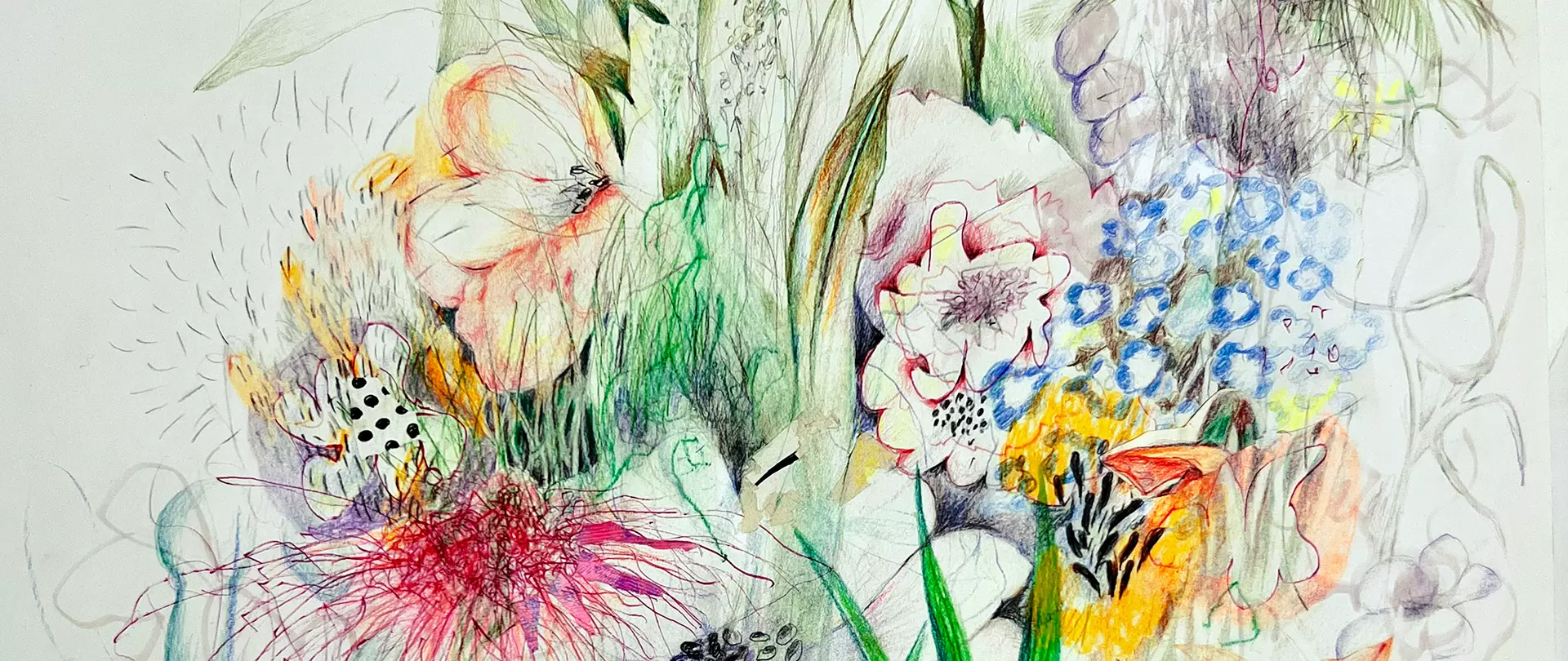 Bunte Fantasiepflanzen und abstrakte organische Formen in einer farbenfrohen Zeichnung, die kreative Pflanzenwelten und imaginäre Gewächse darstellen