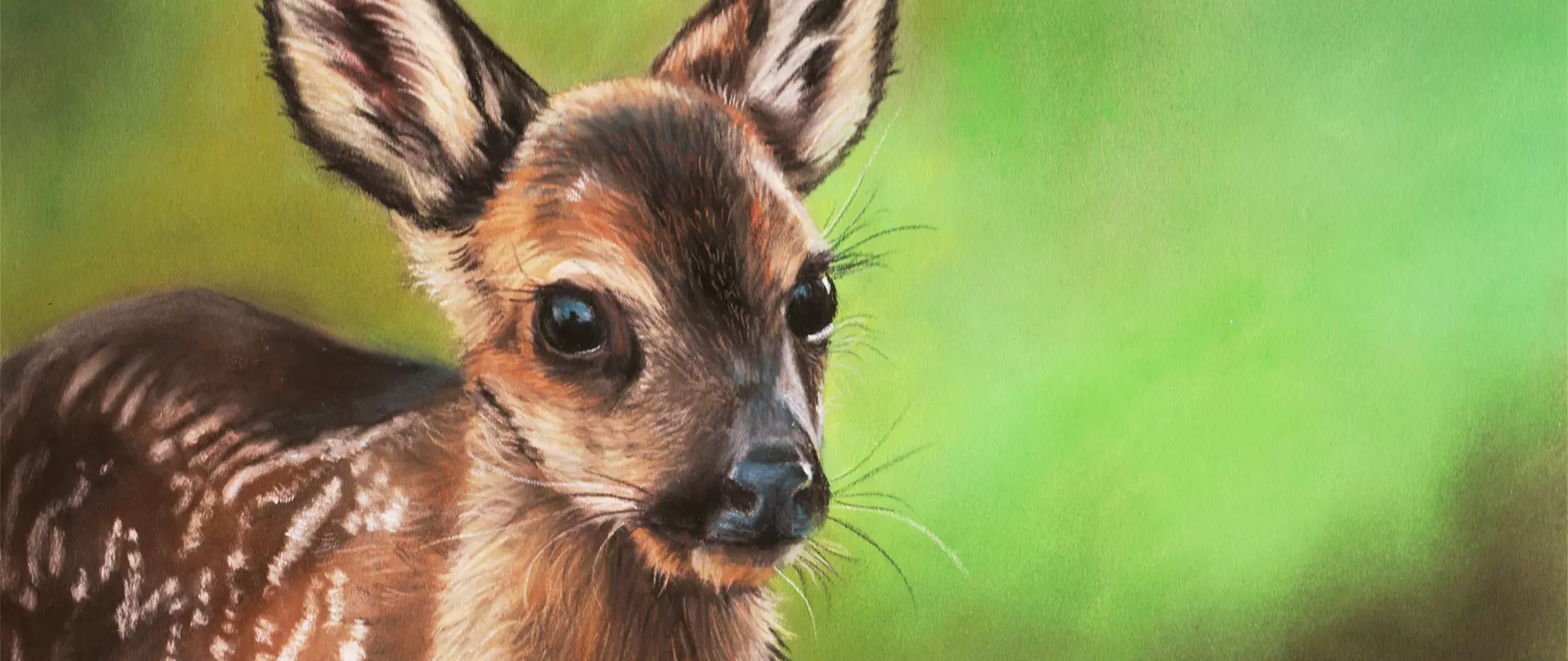 Pastellzeichnung eines jungen Rehs mit großen Augen vor grünem Hintergrund erstellt von artistravel Dozentin Angela-Carmen Griehl-Groß