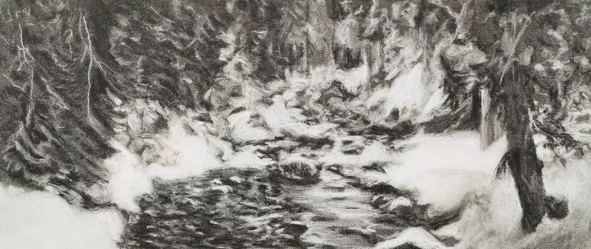 Kohlezeichnung eines Waldes inmitten ein kleiner Bach durchfließt. Gemalt von Theora Krummel.