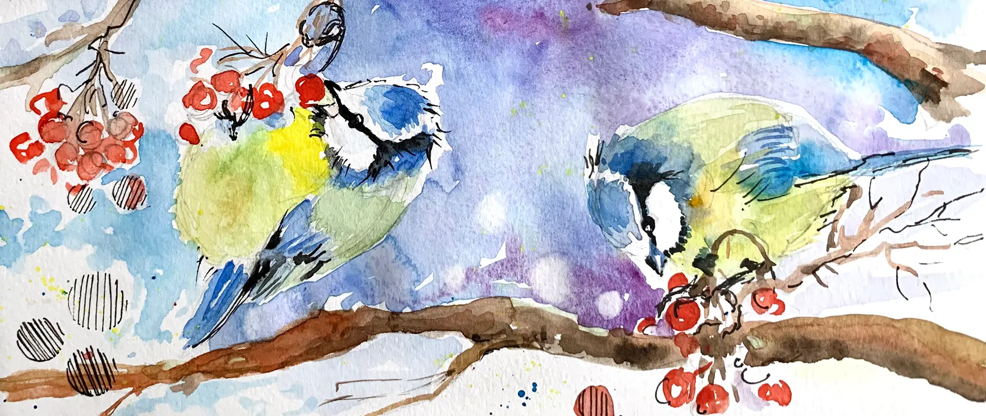 Zwei bunte Blaumeisen sitzen auf Zweigen mit roten Beeren, gemalt in lebendigem Aquarellstil vor blau-lila Hintergrund