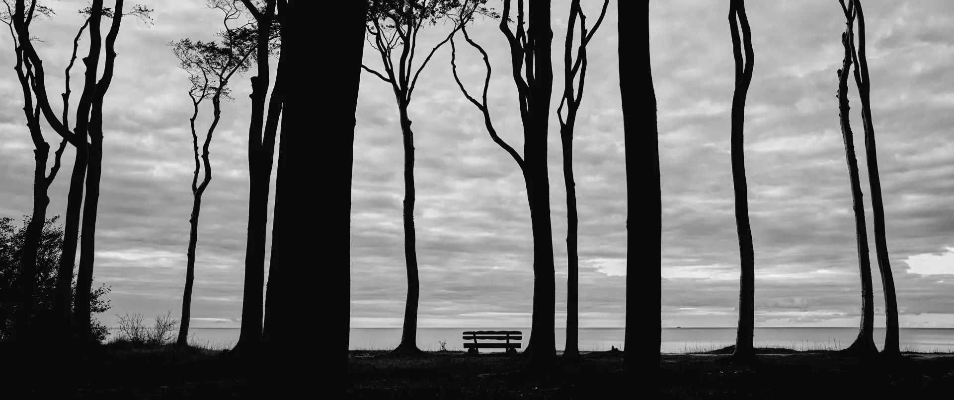 Schwarzweißfotografie von Bernd Meissner: Eine leere Bank steht zwischen Bäumen am Waldrand mit Blick auf die Ostsee bei Prerow unter einem dramatisch bewölkten Himmel.
