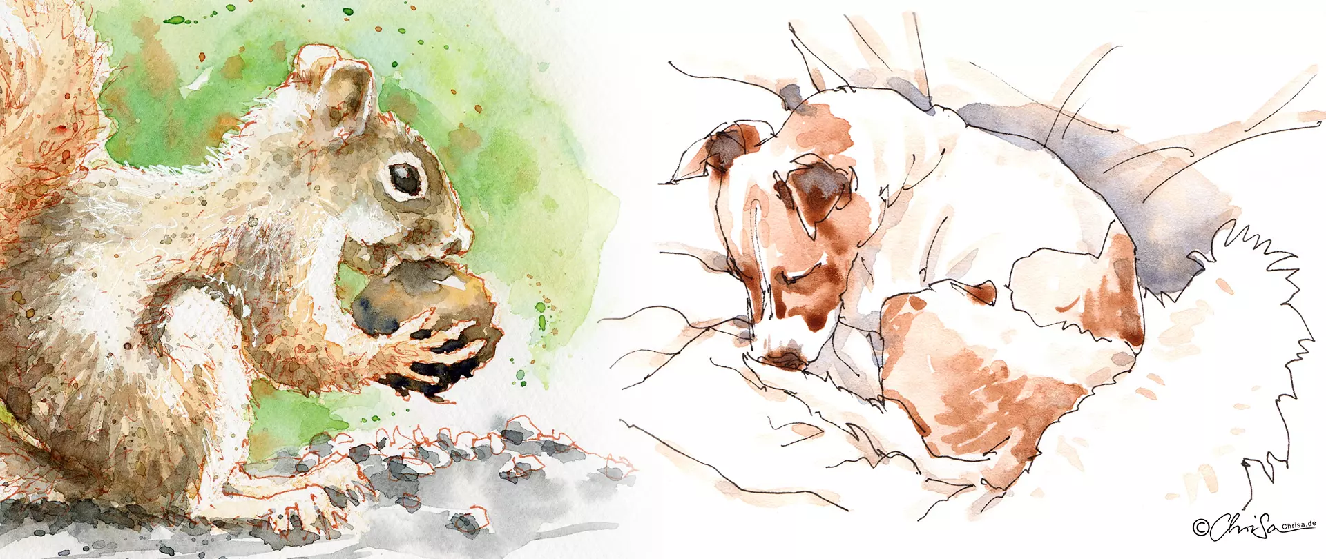 Aquarell-Skizze eines Eichhörnchens mit Nuss und einer schlafenden braun-weißen Hundewelpe als Beispiel für Mixed-Media-Tierzeichnungen