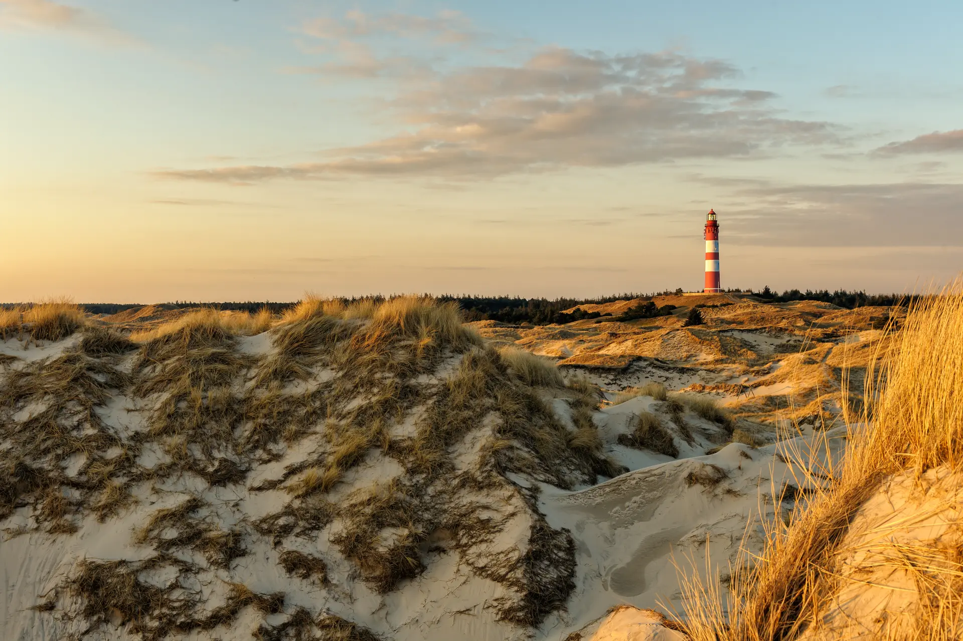 Sanddünenlandschaft auf der Nordseeinsel Amrum mit Grasbewuchs und rot-weiß gestreiftem Leuchtturm im warmen Abendlicht