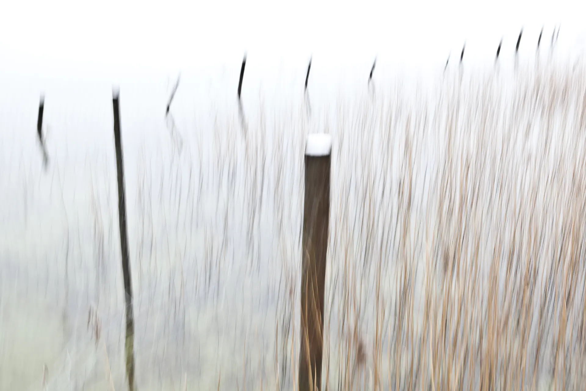 Abstrakte Aufnahme von Holzpfählen und Schilf im Wasser, die durch Bewegungsunschärfe eine malerische Lichtwirkung erzeugt